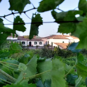 Etna Dom wakacyjny