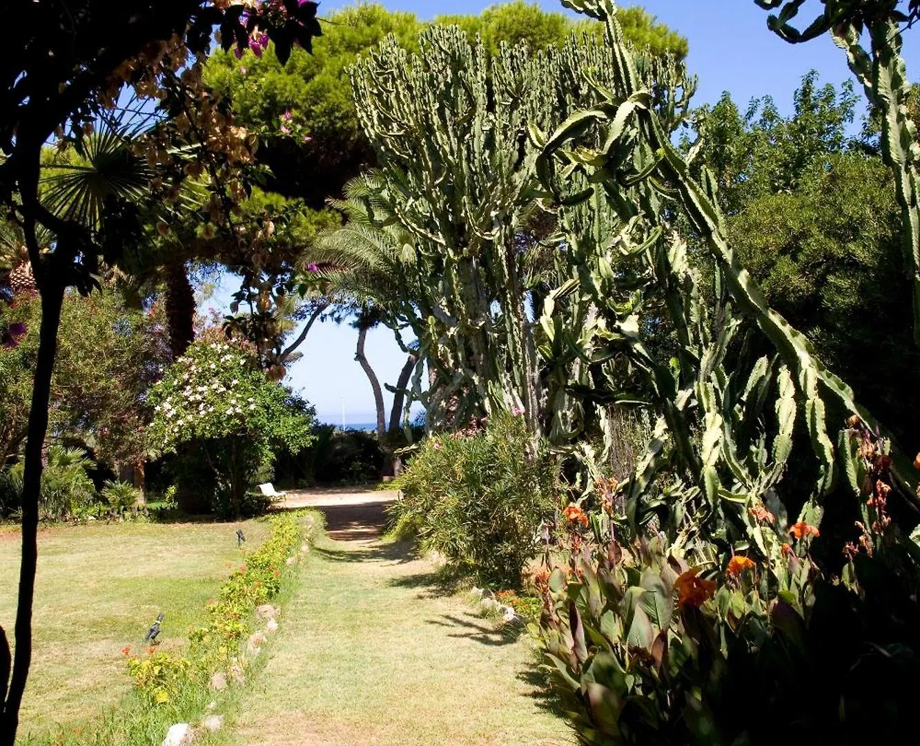 Azienda Agrituristica Tenuta Pizzolungo 埃里切