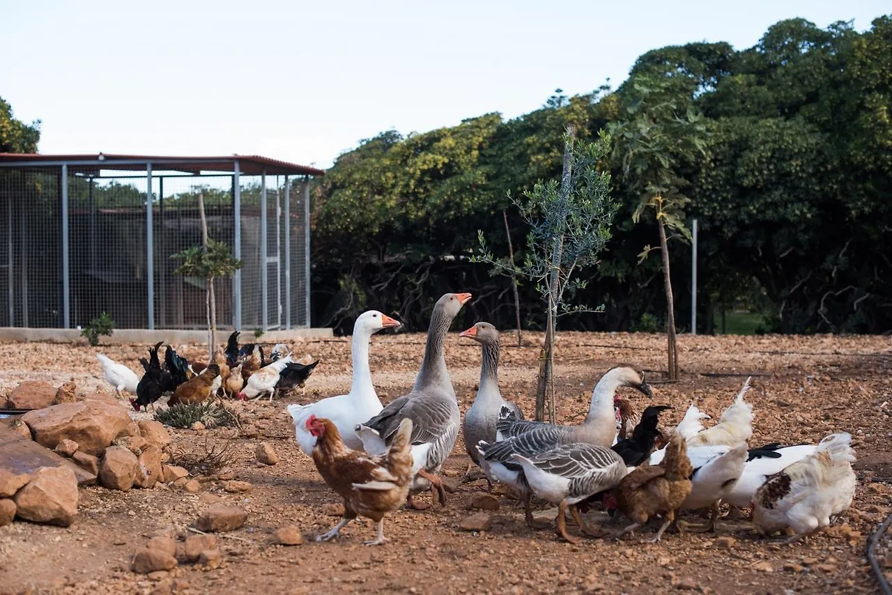 Farm stay Azienda Agrituristica Tenuta Pizzolungo Erice
